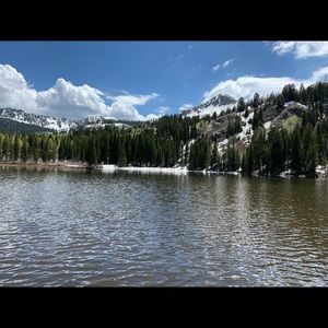 Meet your Posher, Tiffanie